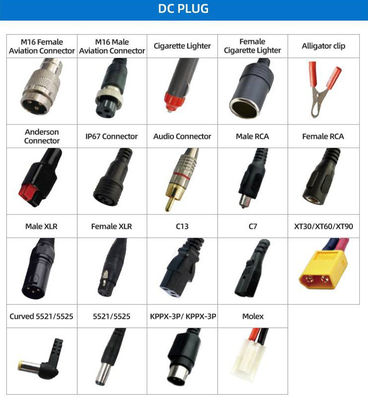 12V 14.4V 14.6V 29.2V 10A リチウム電池 アクセサリー 4S Lifepo4 電池充電器